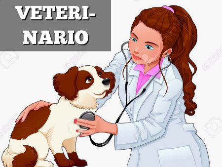 Рисунок на тему ветеринар