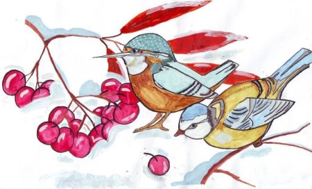 Зимующие птицы рисунок