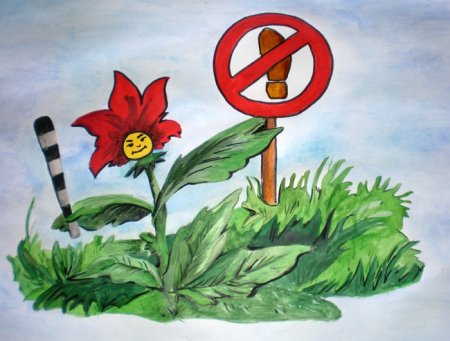 Берегите растения