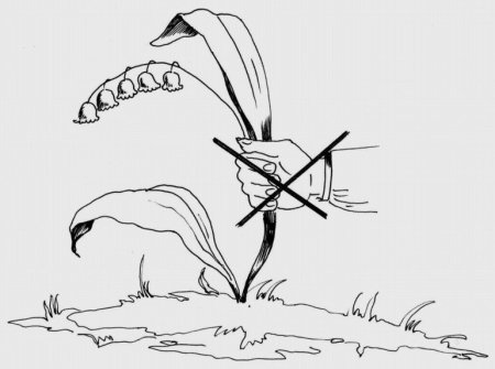 Плакатбегите растения