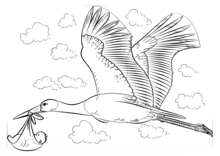 Аист раскраска