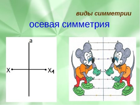 Осевая и Центральная симметрия примеры