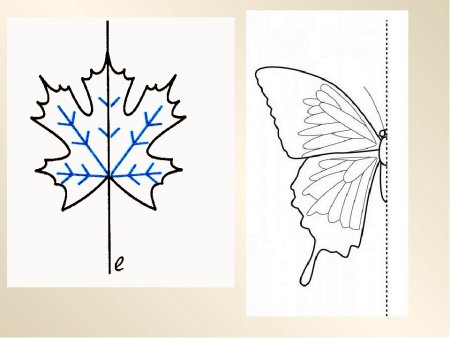 Рисунок по теме симметрия