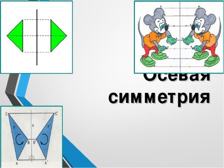 Симметричные фигуры в природе