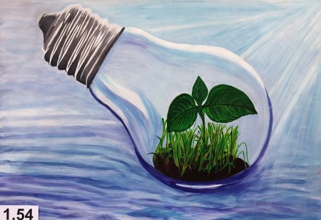 Мы за чистую природу