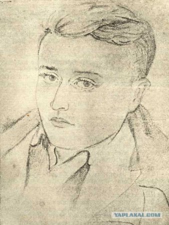 Олег Кошевой молодая гвардия рисунок