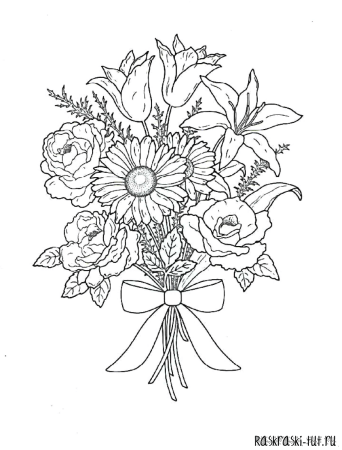 Тюльпан раскраска