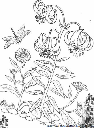 Цветы. Раскраска
