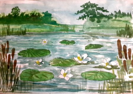 Водно-болотные угодья рисунок