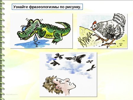 Фразеологизмы рисунки