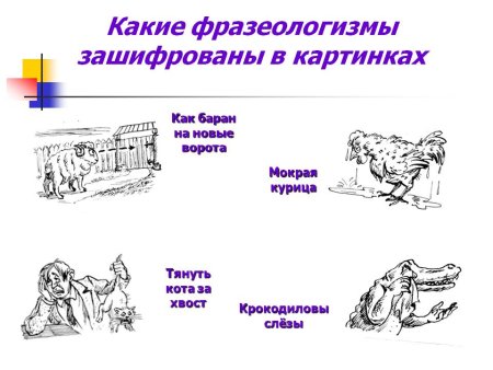 Иллюстрация к фразеологизму