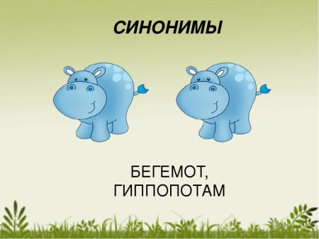 Бегемот гиппопотам синонимы