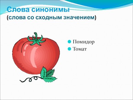 Синонимы картинки