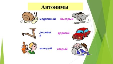 Слова антонимы примеры