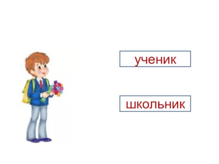 Синонимы в картинках для детей