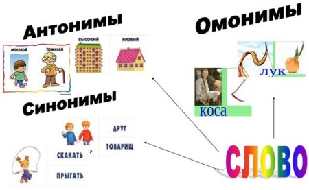 Анонимы синонимы антонимы