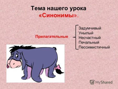 Рисунки на тему синонимы