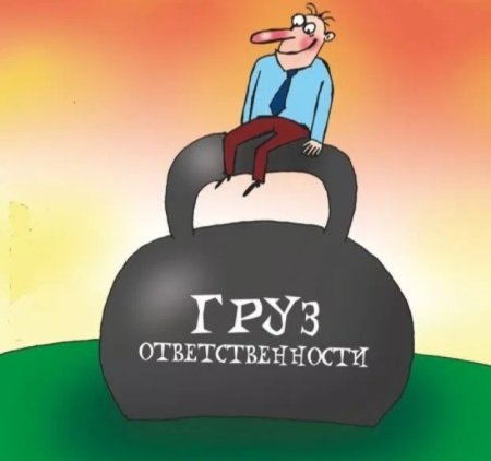 Ответственность карикатура
