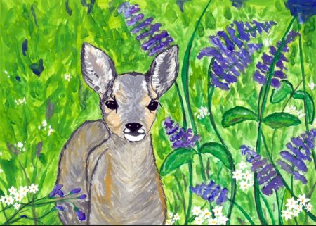 Заповедная Россия рисунки