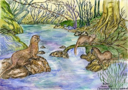 Рисунки заповедника детские