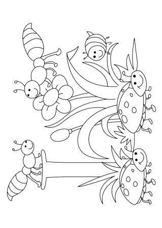 Насекомые раскраска для детей