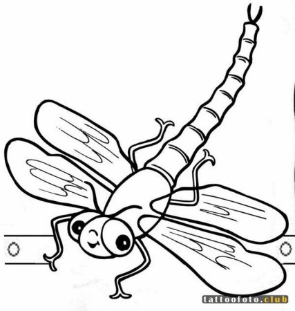 Насекомые. Раскраска