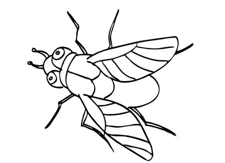 Бабочка раскраска для малышей