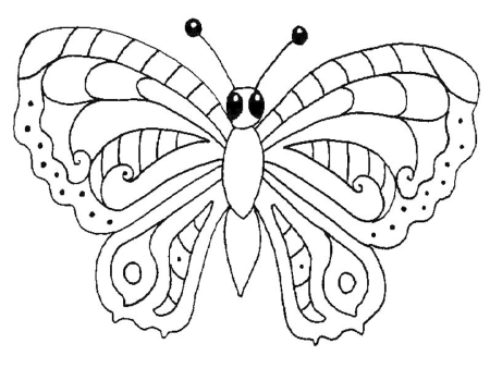 Раскраски для детей по теме насекомые