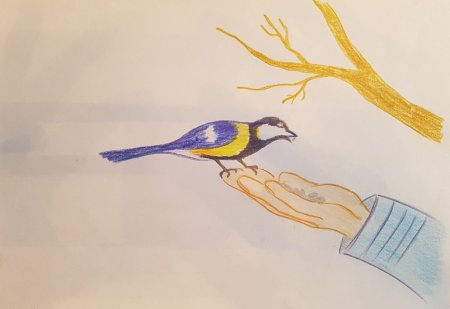 Рисование синицы