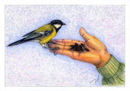 Рисование синички