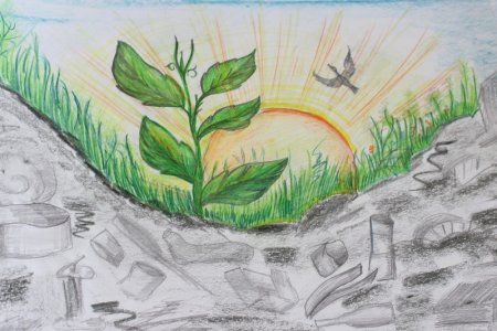 Рисунок сохраним природу