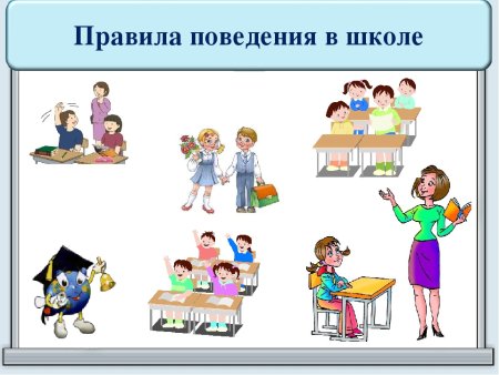 Правила поведения вшкле