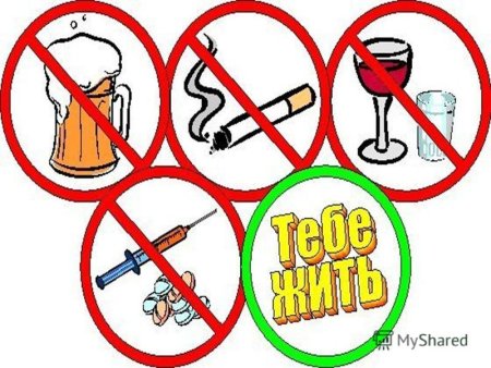 Вредные привычки ЗОЖ