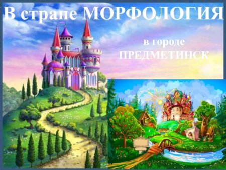 Путешествие по стране морфология
