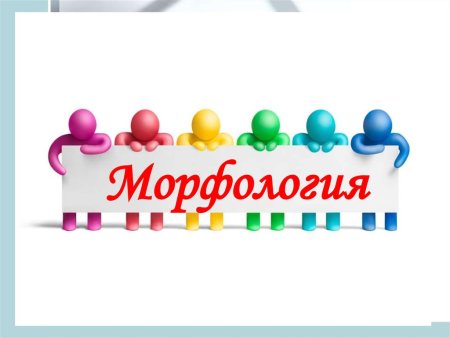 Морфология картинки для презентации