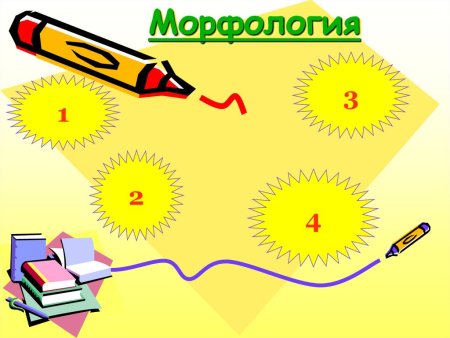 Морфология для детей