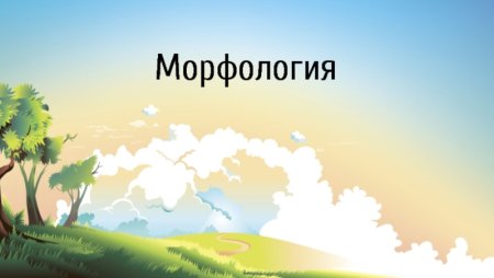 Морфология картинки