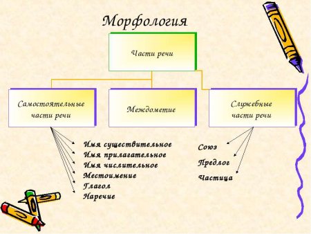 Что изучает морфология в русском языке