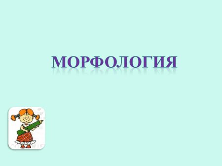 Проект на тему морфологены
