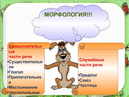 Морфология самостоятельные части