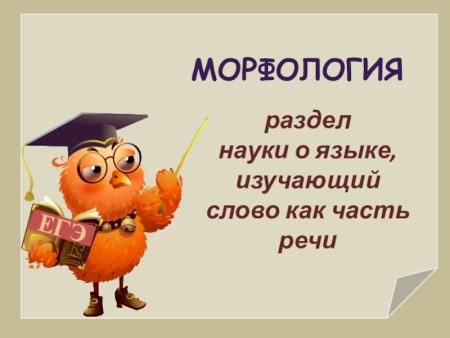 Морфология презентация
