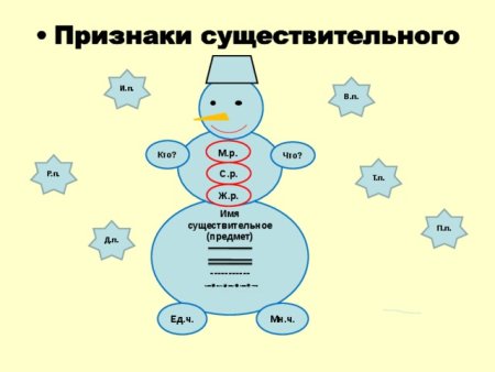 Признаки существительного как части речи