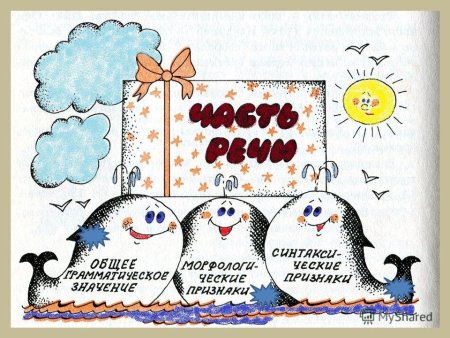 Морфология плакаты