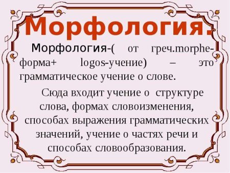 Морфология презентация