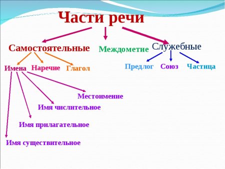 Морфология схема частей речи