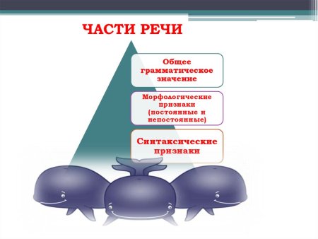 Что такое морфология в русском языке 5 класс