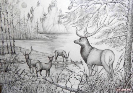 Пейзаж природы для детей 11 лет