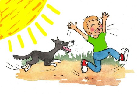 Поведения с бродячими собаками для детей