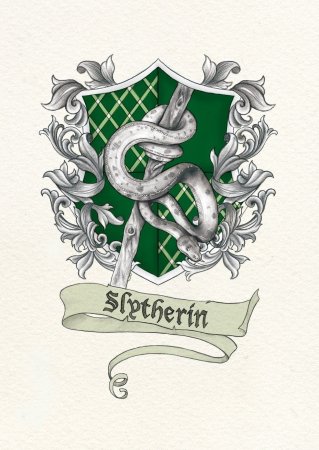 Слизерин разворот