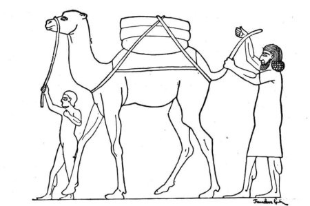 Древний Египет раскраска